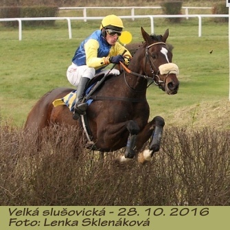 LS_Slušovice16.jpg