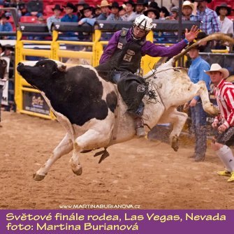 MB_bullridingUS_2015.JPG