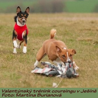 MB_Coursing16.JPG