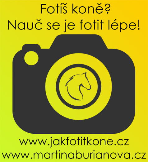MB_Jak fotit koně