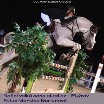 MB_nightshow_Ptyrov_2015.JPG