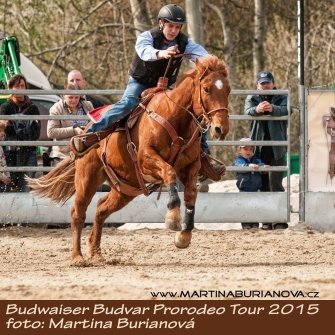 MB_ProRodeo1.JPG