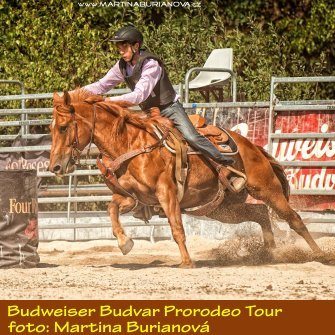 MB_ProRodeo2.JPG