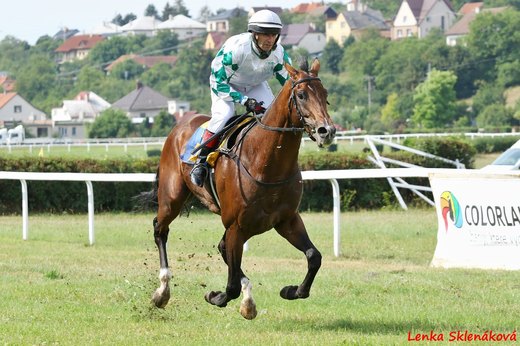 Montjeu Third.jpg
