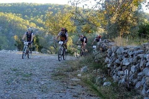 mtb