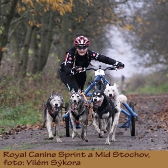 mushing_Stochov14.jpg