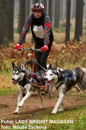 MZ_mushing17.jpg