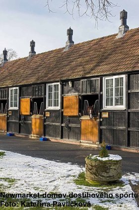 Newmarket19.jpg