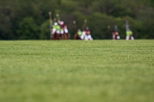 Noe Polo Masters_02.jpg