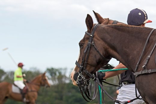 Noe Polo Masters_11.jpg
