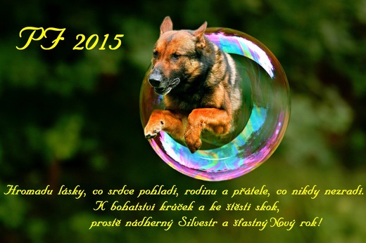 PF_2015_PJ.jpg