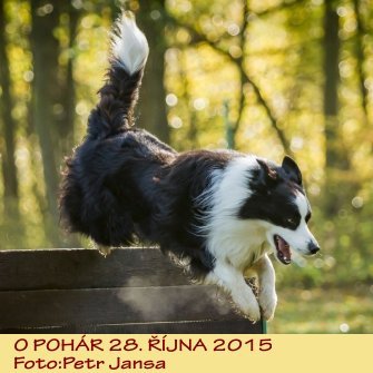 PJ_kynolog15.JPG