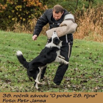 PJ_kynolog16.JPG