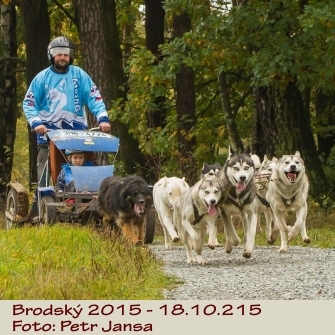 PJ_mushing15.jpg