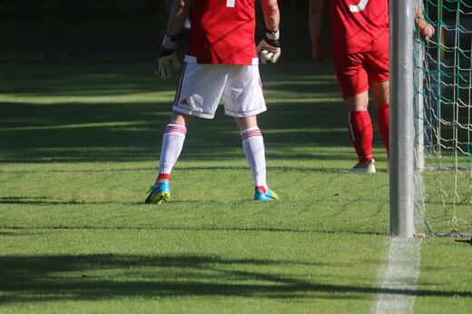 planet_fox-football-5481308.jpg