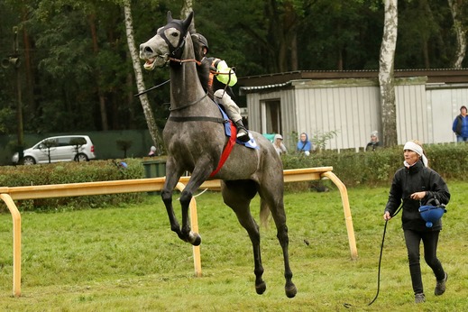 Pouštění draka.jpg