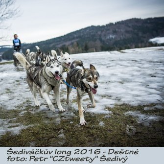 PS_Sedivacek2016.JPG