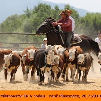 Rodeo