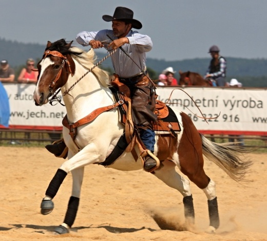 rodeo