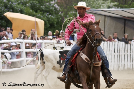 rodeo12_0006.jpg