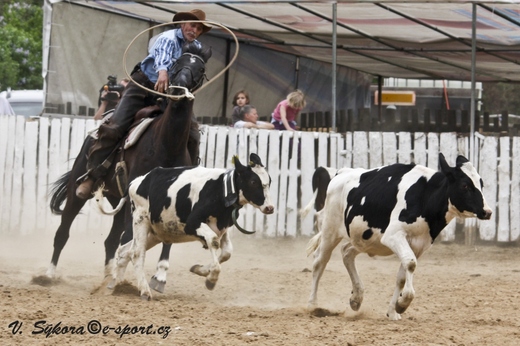 rodeo12_0063.jpg