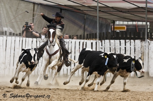rodeo