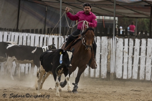 rodeo12_0144.jpg