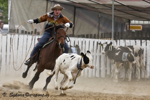 rodeo12_0152.jpg