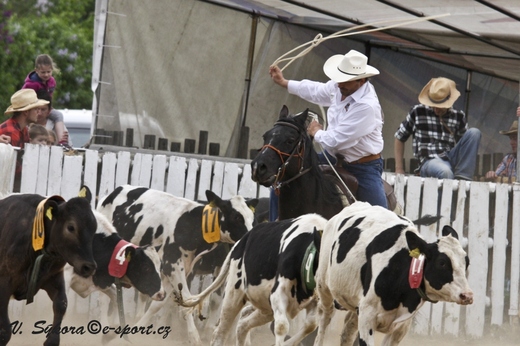 rodeo12_0190.jpg