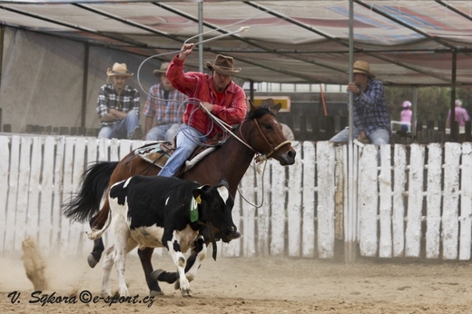 rodeo12_0200.jpg