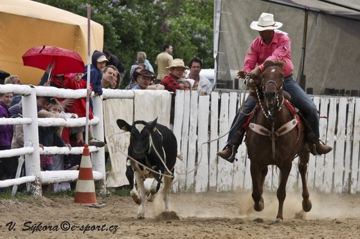 rodeo12_0211.jpg