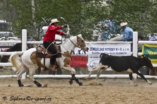 rodeo12_0217.jpg