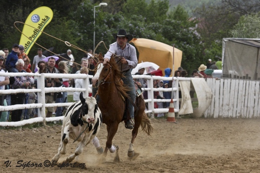 rodeo12_0233.jpg