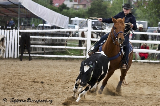 rodeo12_0279.jpg