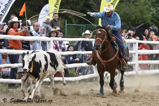 rodeo12_0312.jpg