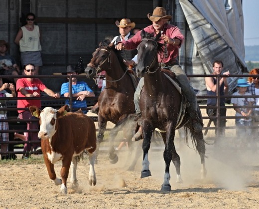 rodeo