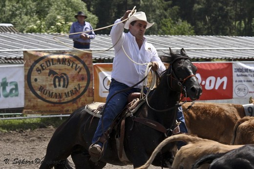 rodeoHOSL12_0073.jpg