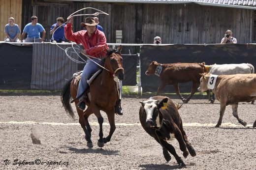 rodeoHOSL12_0079.jpg