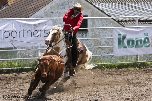 rodeoHOSL12_0115.jpg