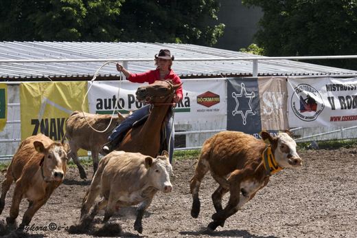 rodeoHOSL12_0123.jpg