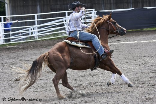rodeoHOSL12_0156.jpg