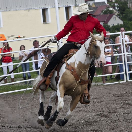 rodeo
