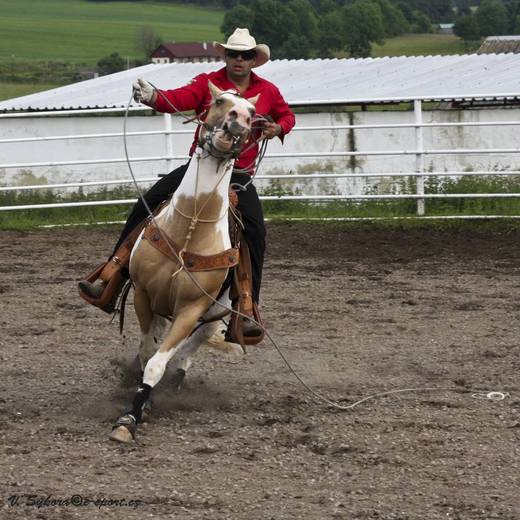 rodeoHOSL12_0300.jpg