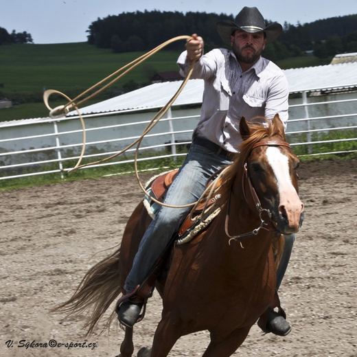 rodeoHOSL12_0329.jpg
