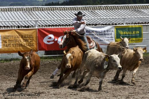 rodeoHOSL12_0330.jpg