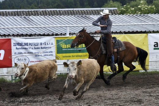 rodeoHOSL12_354.jpg