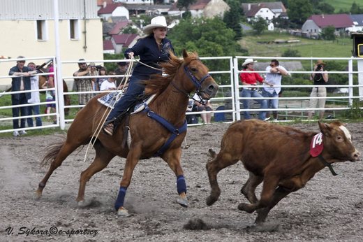 rodeo