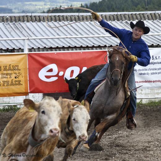 rodeoHOSL12_384.jpg