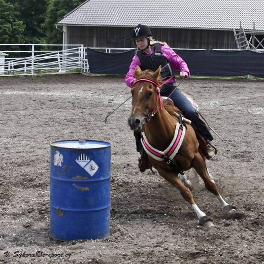 rodeoHOSL12_408.jpg