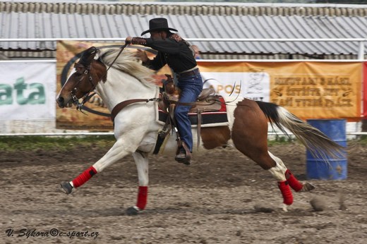 rodeoHOSL12_443.jpg